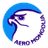 airline logo